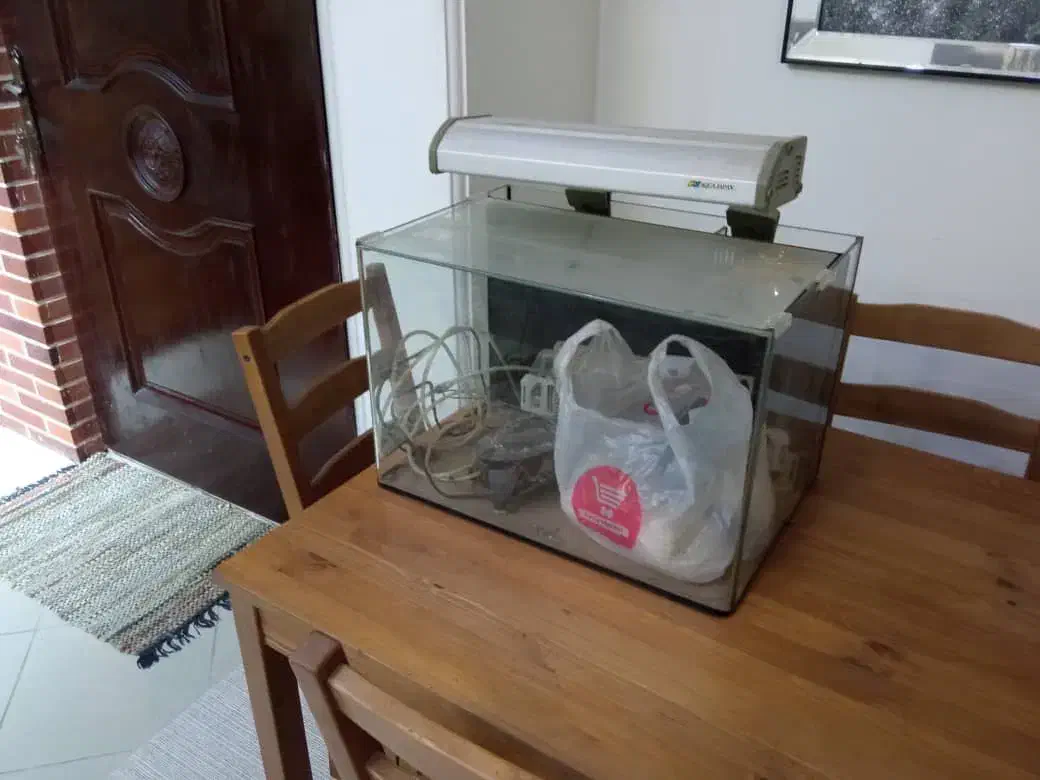 آکواریوم با تمام وسایل|ماهی|اهواز, کیانپارس |دیوار