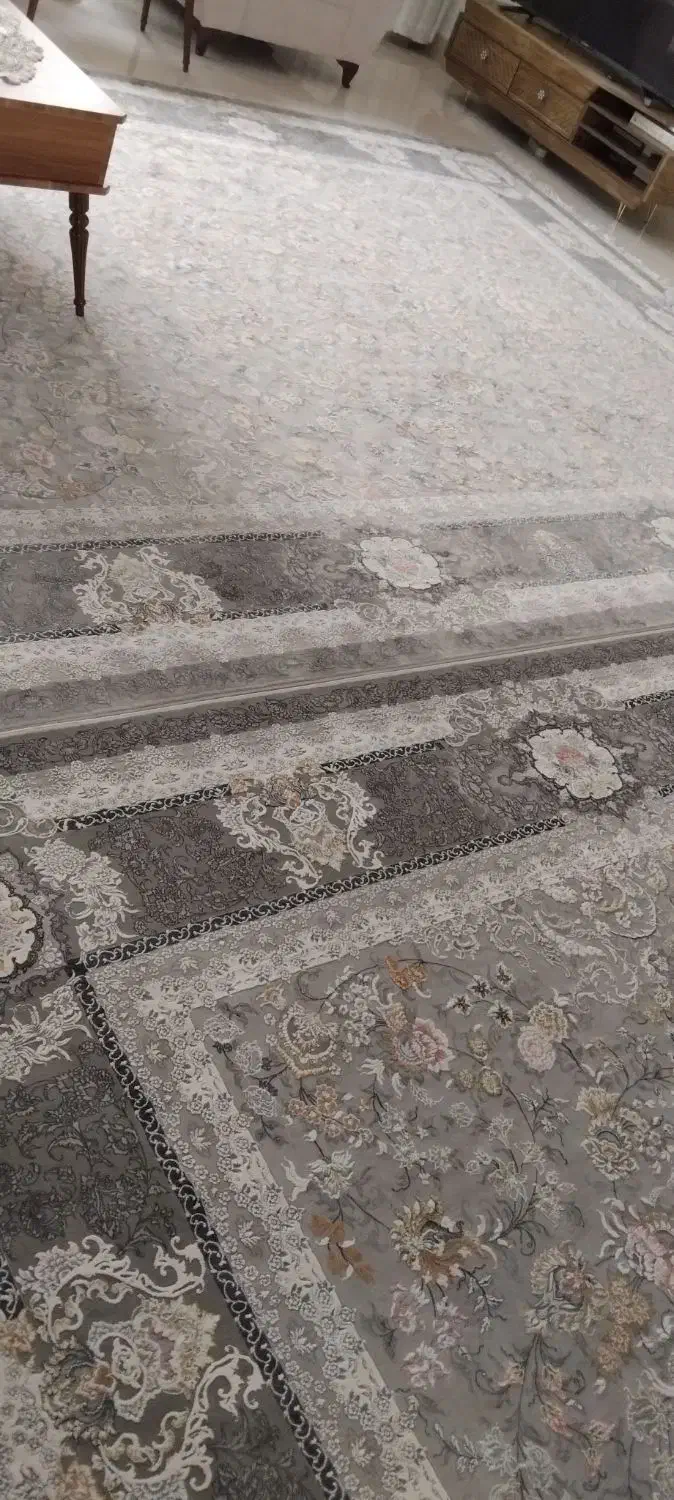 فرش|فرش|تربت‌حیدریه, مظفریه|دیوار