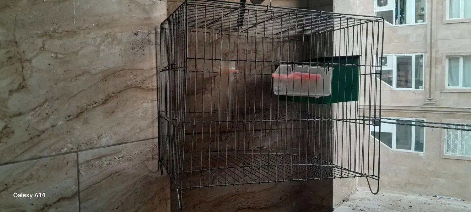 قفس پرنده|لوازم جانبی حیوانات|قدس, شهرک فرزان|دیوار