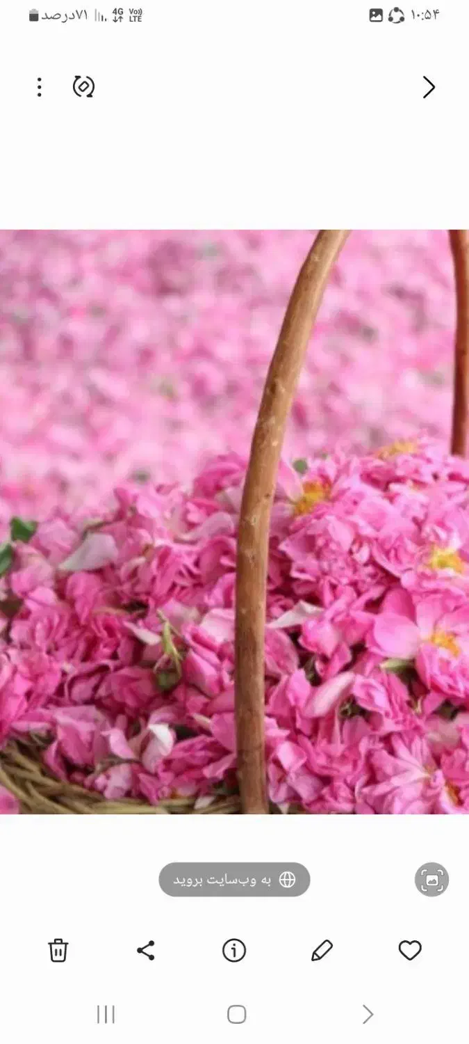 گلاب درجه ۱|خوردنی و آشامیدنی|کاشان, کشاورز|دیوار