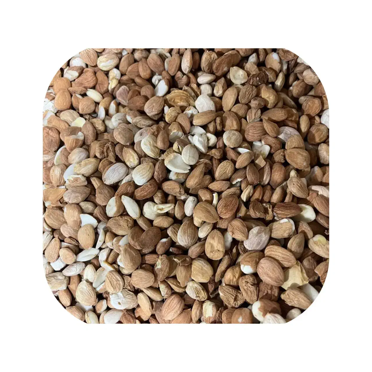 هسته زرد آلو شکسته و سالم روغن گیری آجیلی شیرینی|عمده‌فروشی|تهران, افسریه شمالی|دیوار