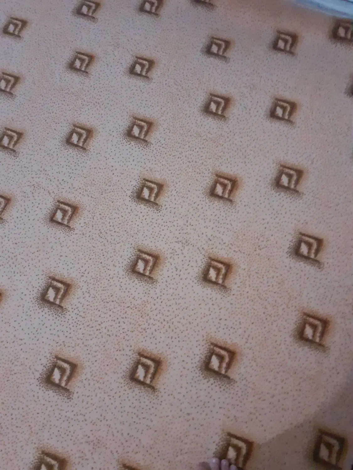 موکت|موکت|شوش, |دیوار