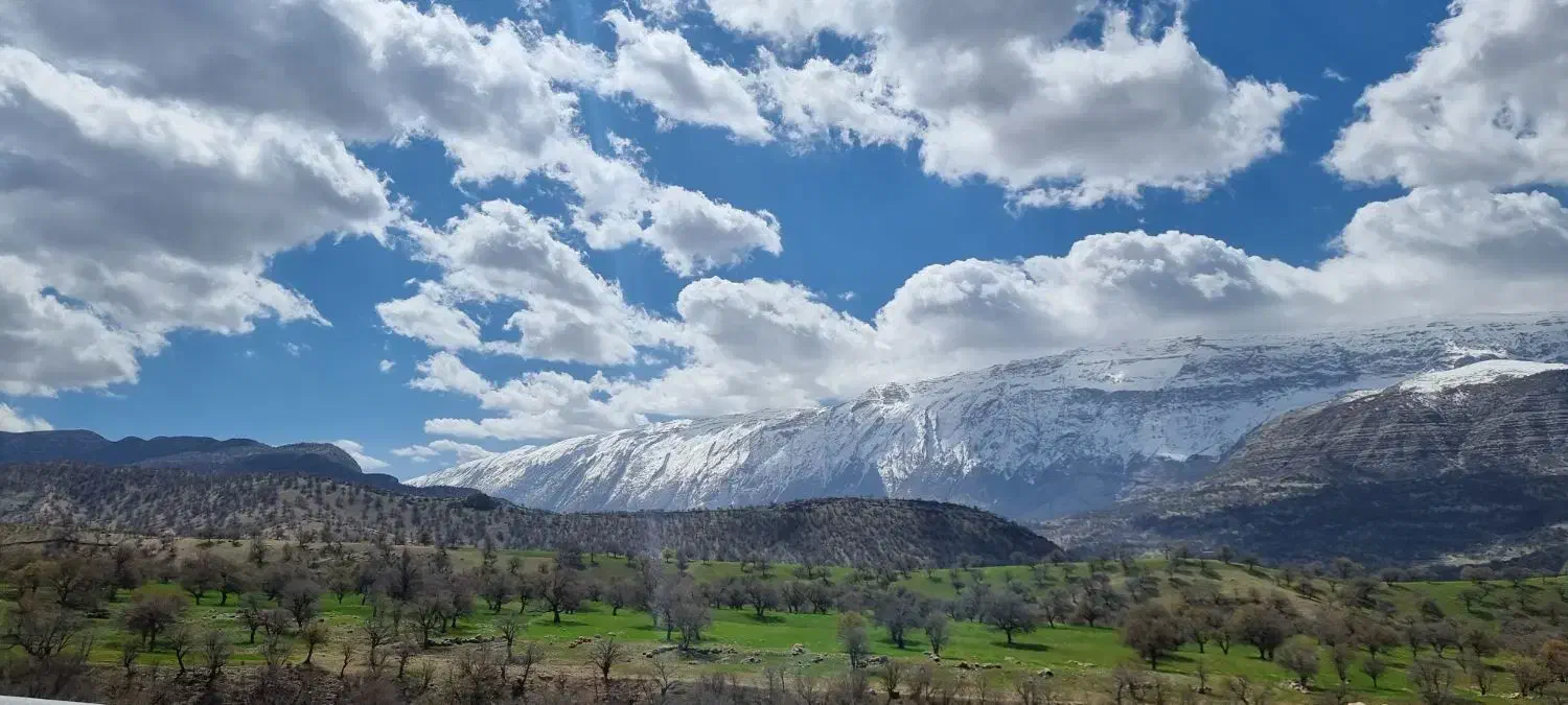 فروش ۱.۵هکتار زمین کشاورزی|فروش زمین و ملک کلنگی|دهدشت, |دیوار