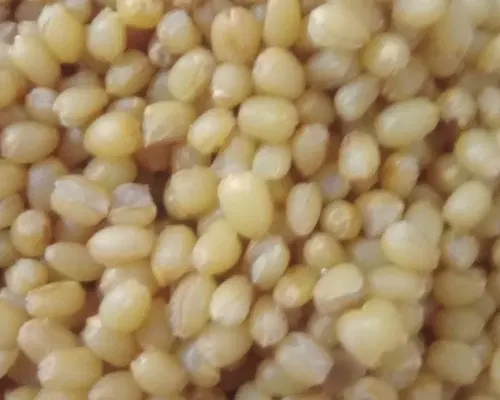 یارما|خوردنی و آشامیدنی|سلماس, |دیوار