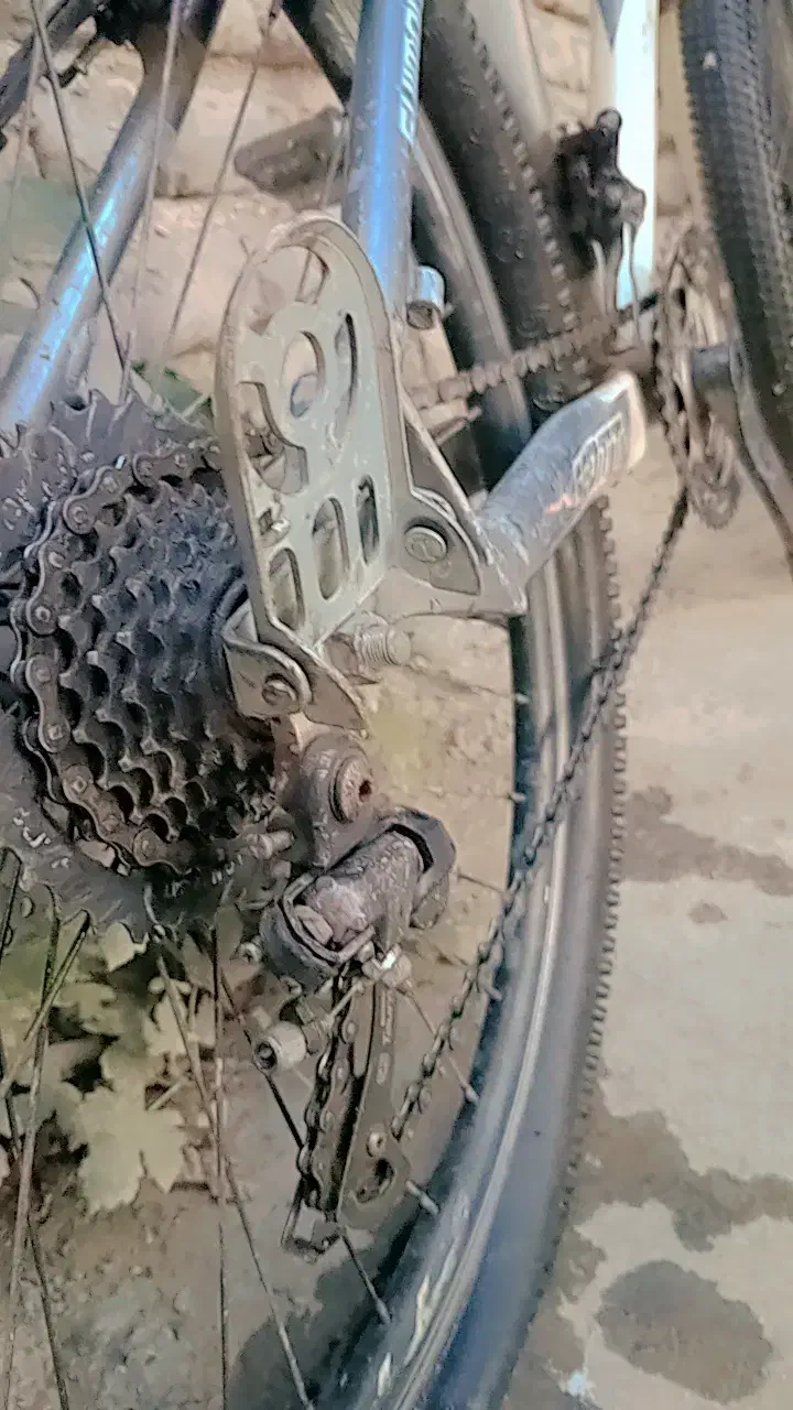 دوچرخه|دوچرخه، اسکیت، اسکوتر|گالیکش, |دیوار