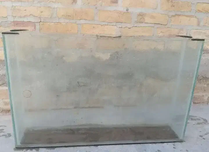 اکواریوم|ماهی|اردکان, |دیوار