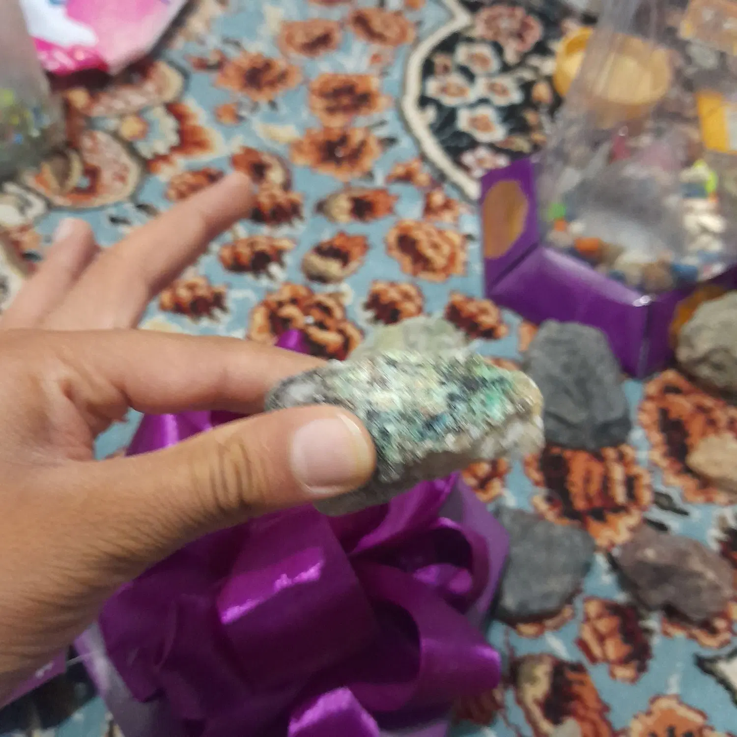 ....۱|پرنده|جلگه رخ, |دیوار