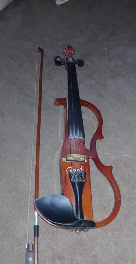 ویالن الکتریکی|ویولن|بندر ماهشهر, |دیوار