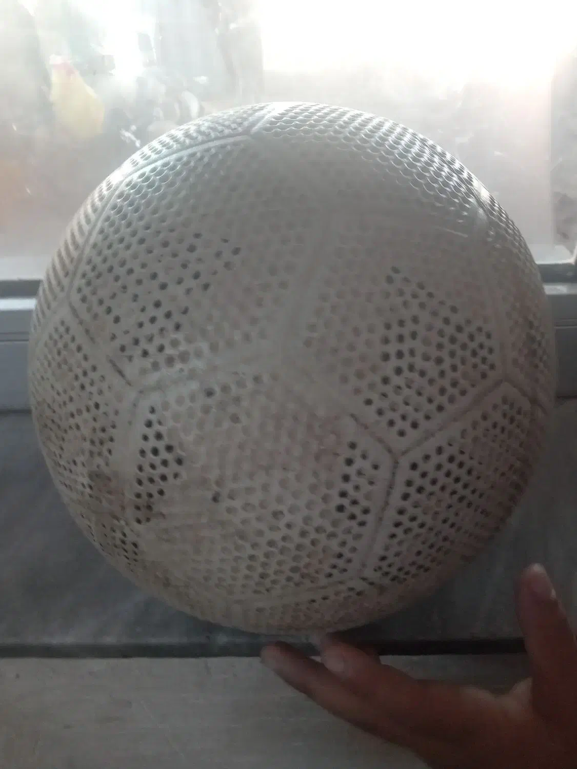 پارس آباد|ورزش‌های توپی|قشلاق دشت, |دیوار