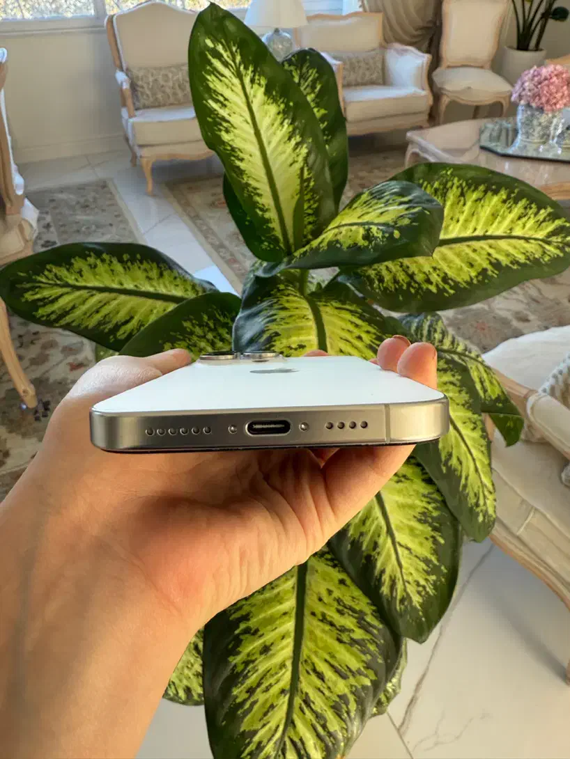 آیفون 16promax512گیگ|موبایل|تبریز, |دیوار