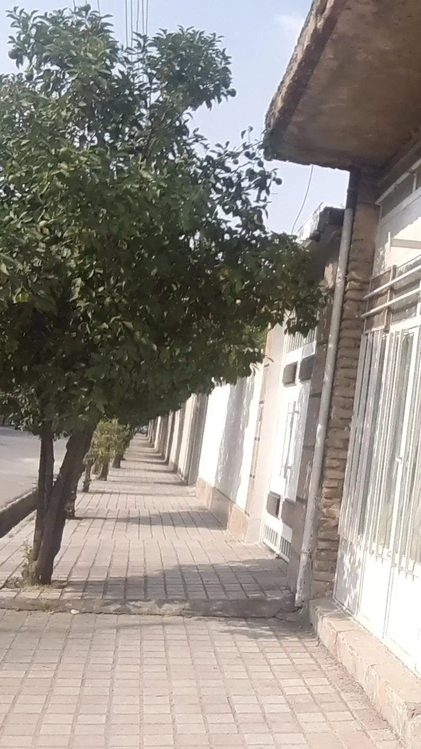 مغازه لب خیابان داخل شهر|اجارهٔ مغازه و غرفه|کلاله, |دیوار