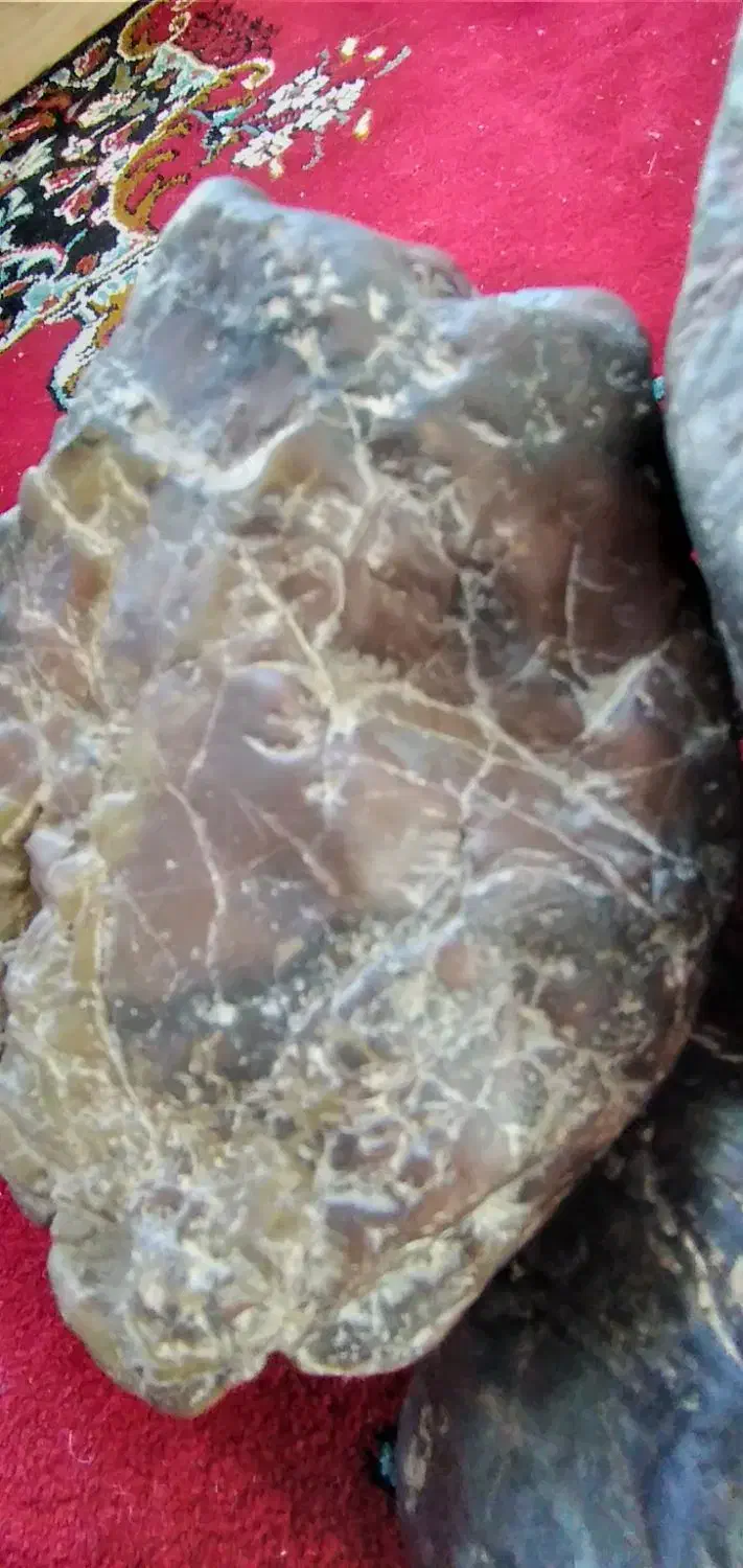 سنگ|صنایع دستی و سایر لوازم تزئینی|مهربان, |دیوار