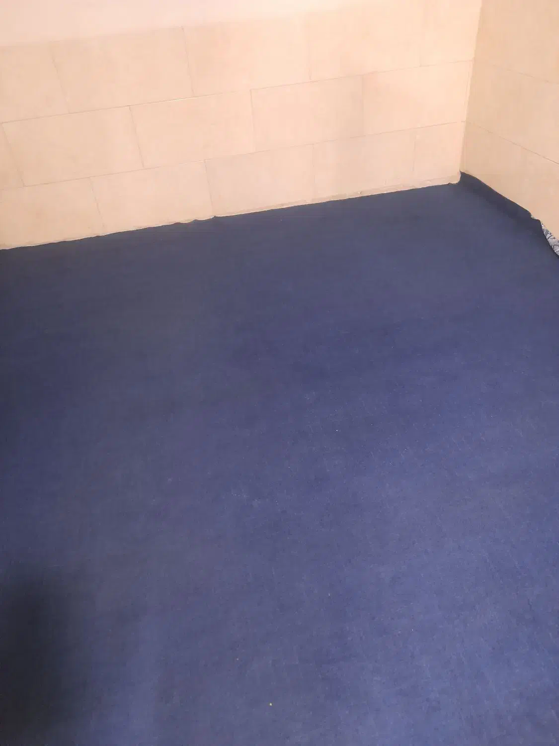 موکت|موکت|ری, دولت‌آباد|دیوار