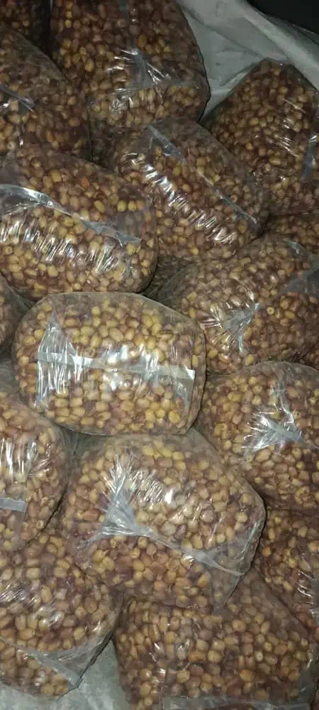 فروش قصب|خوردنی و آشامیدنی|فراشبند, |دیوار