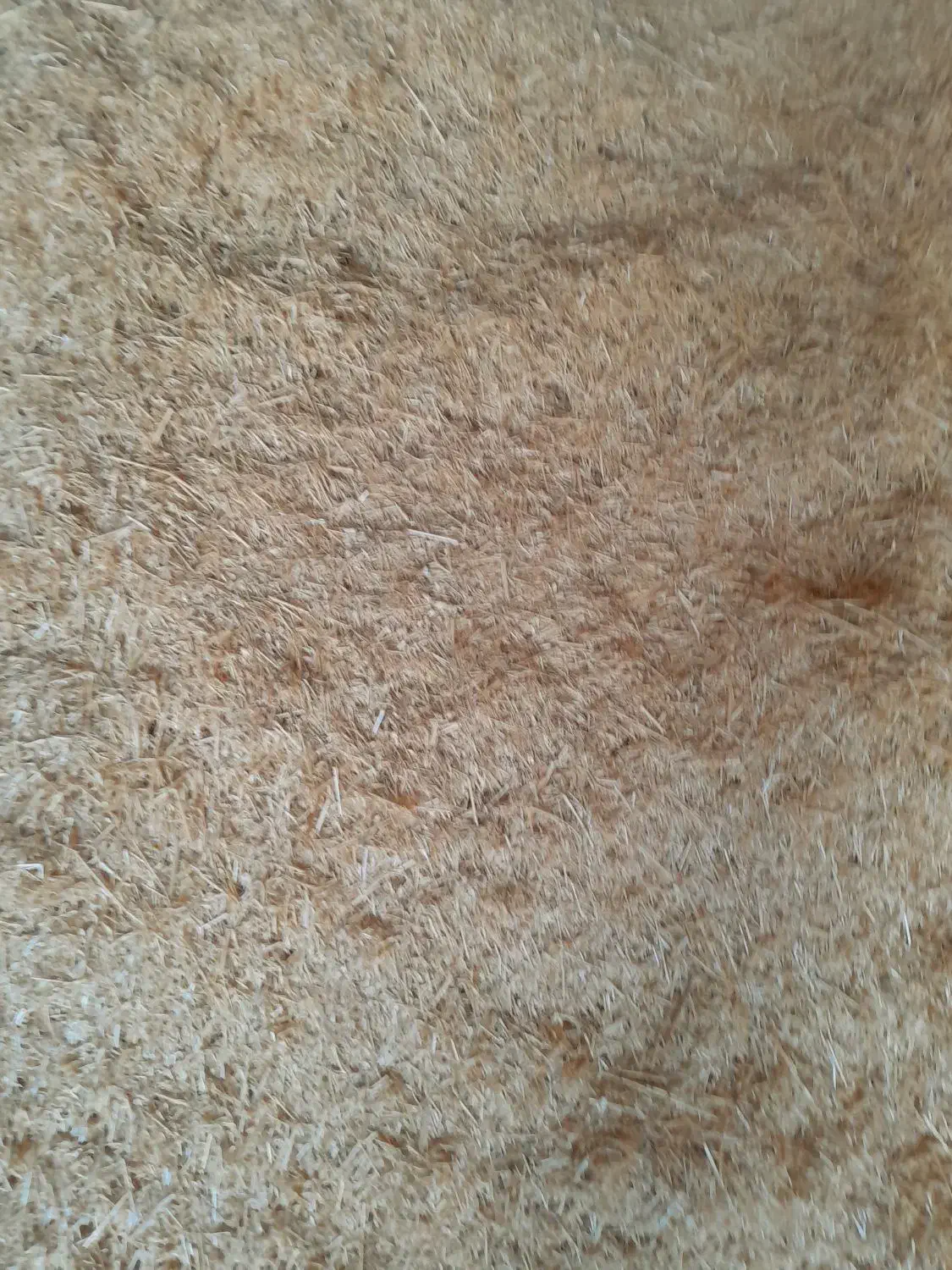 کاه گندم|خدمات باغبانی و درختکاری|فرمهین, |دیوار