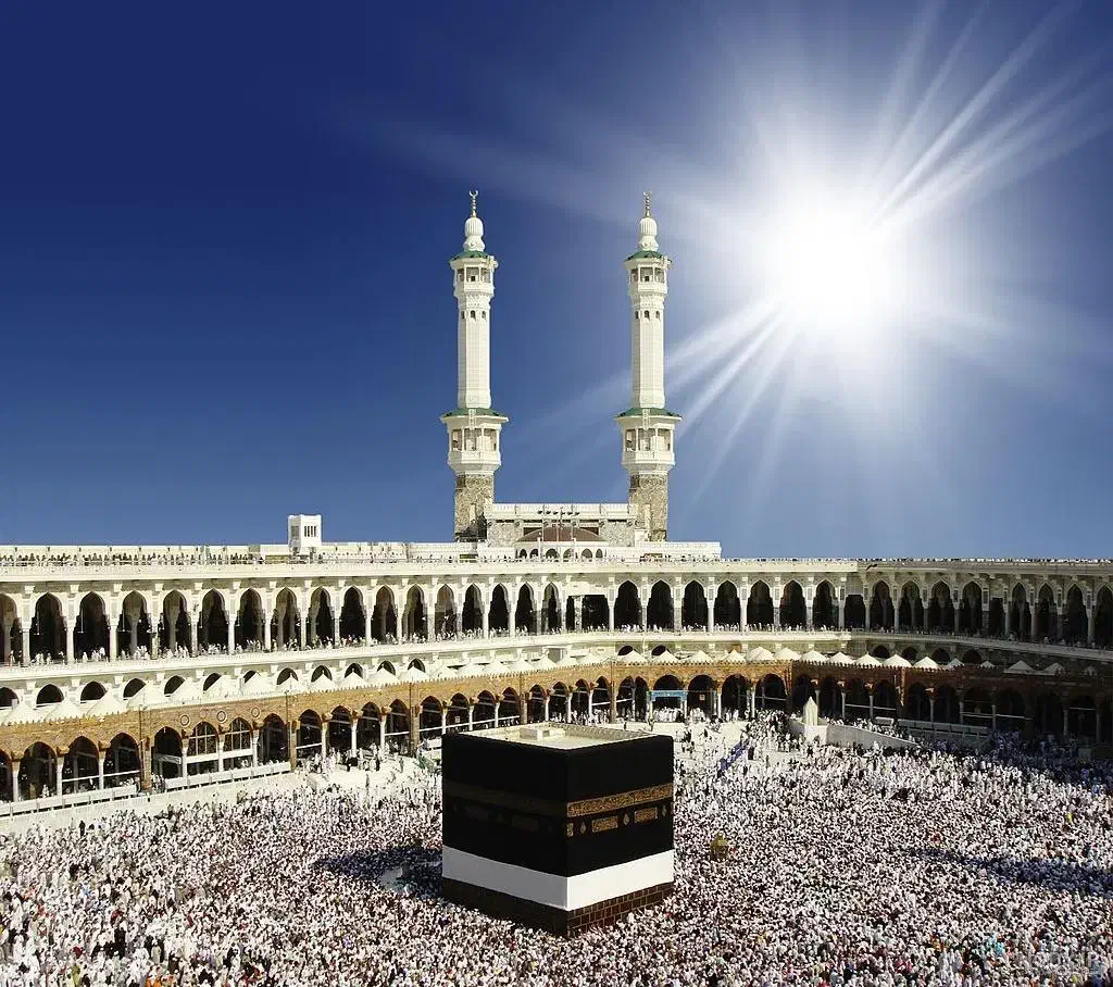 خرید و فروش فیش حج بدون واسطه مستقیم از دفتر حج|تور و چارتر|بابل, |دیوار