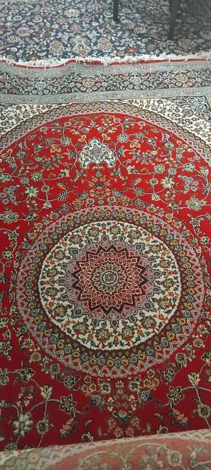 یک عددفرش۱۲متری و دو عدد۶متری|فرش|نکا, |دیوار
