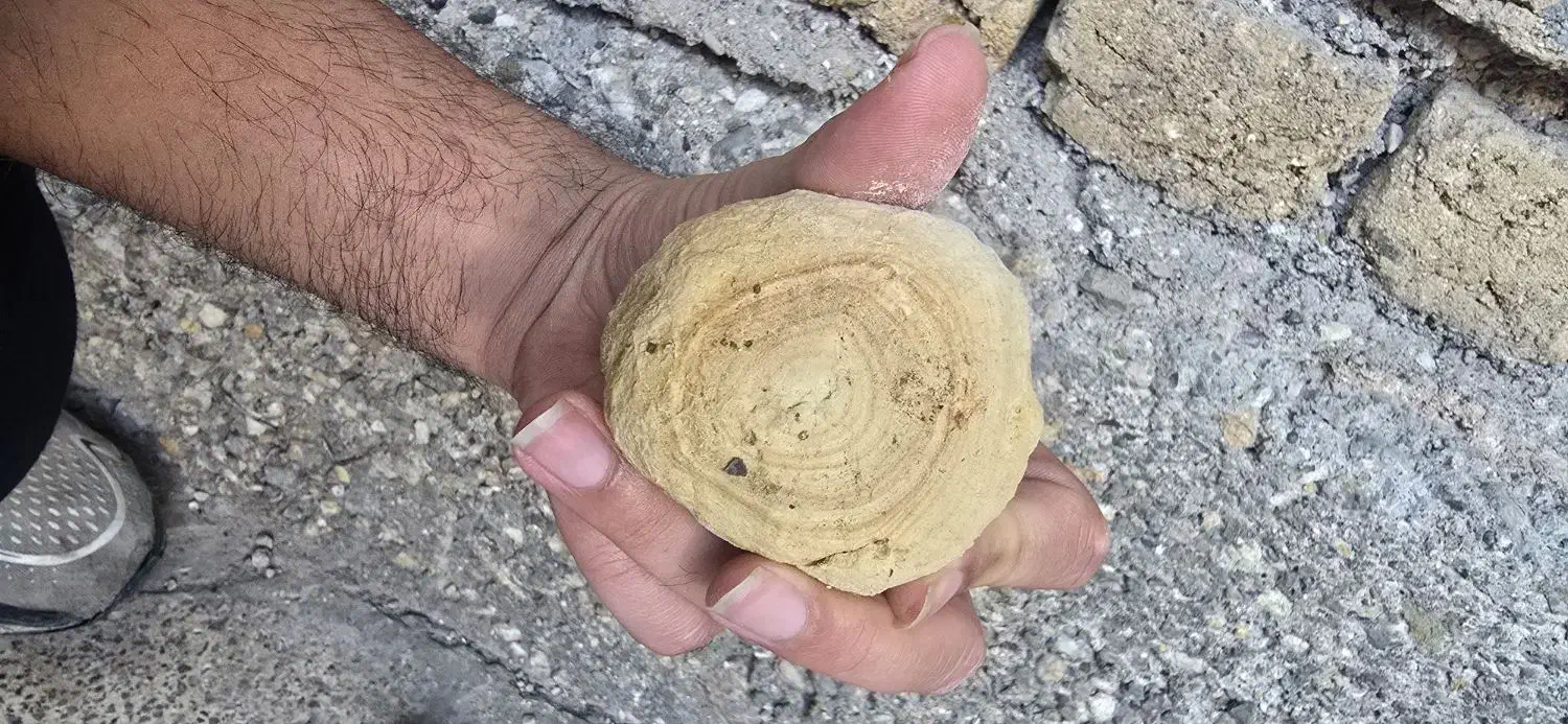 س ن گ قیمتی|کلکسیون اشیاء عتیقه|تهران, منیریه|دیوار