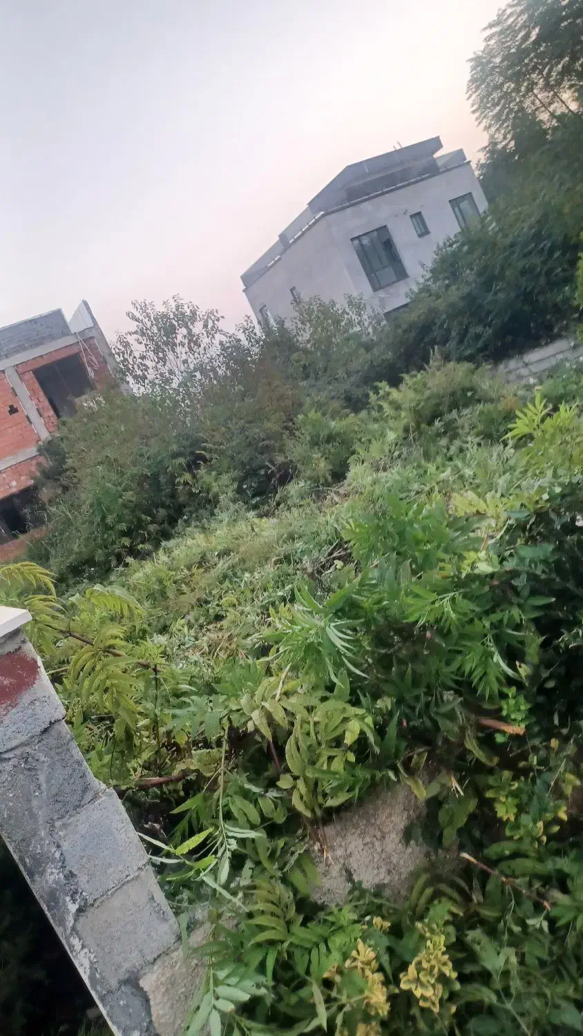 ۳۴۸متر زمین شهرک پرند متلقو حتمآ فروخته میشود|فروش زمین و ملک کلنگی|عباسآباد, |دیوار