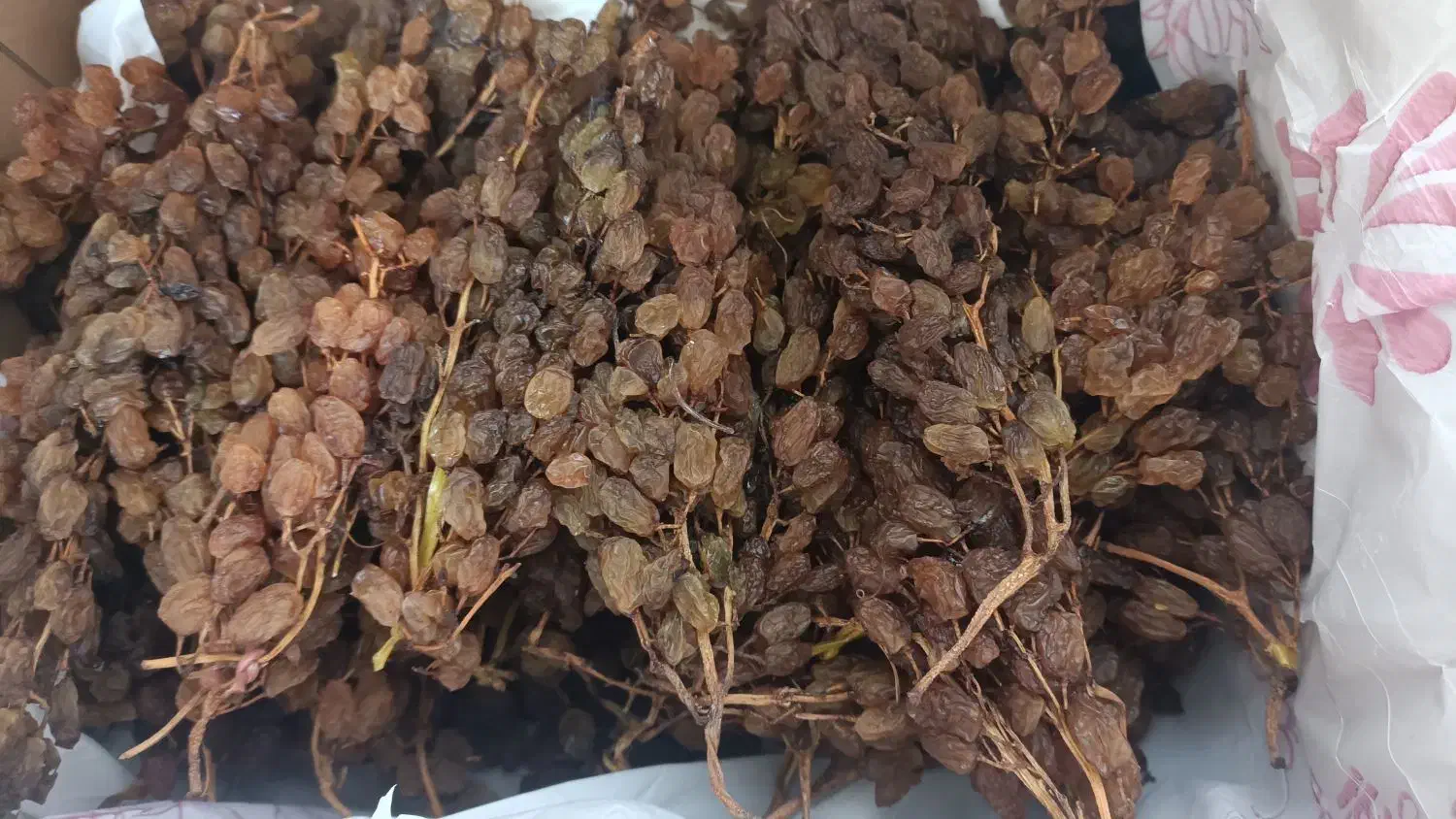 کشمش اشغار درجه یک|خوردنی و آشامیدنی|شیروان (خراسان), |دیوار