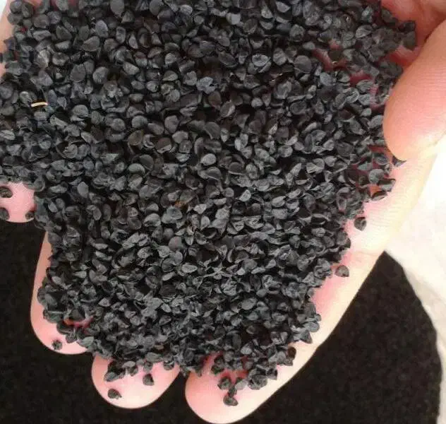 بذر پیاز قرمز|گل و گیاه طبیعی|بناب, |دیوار