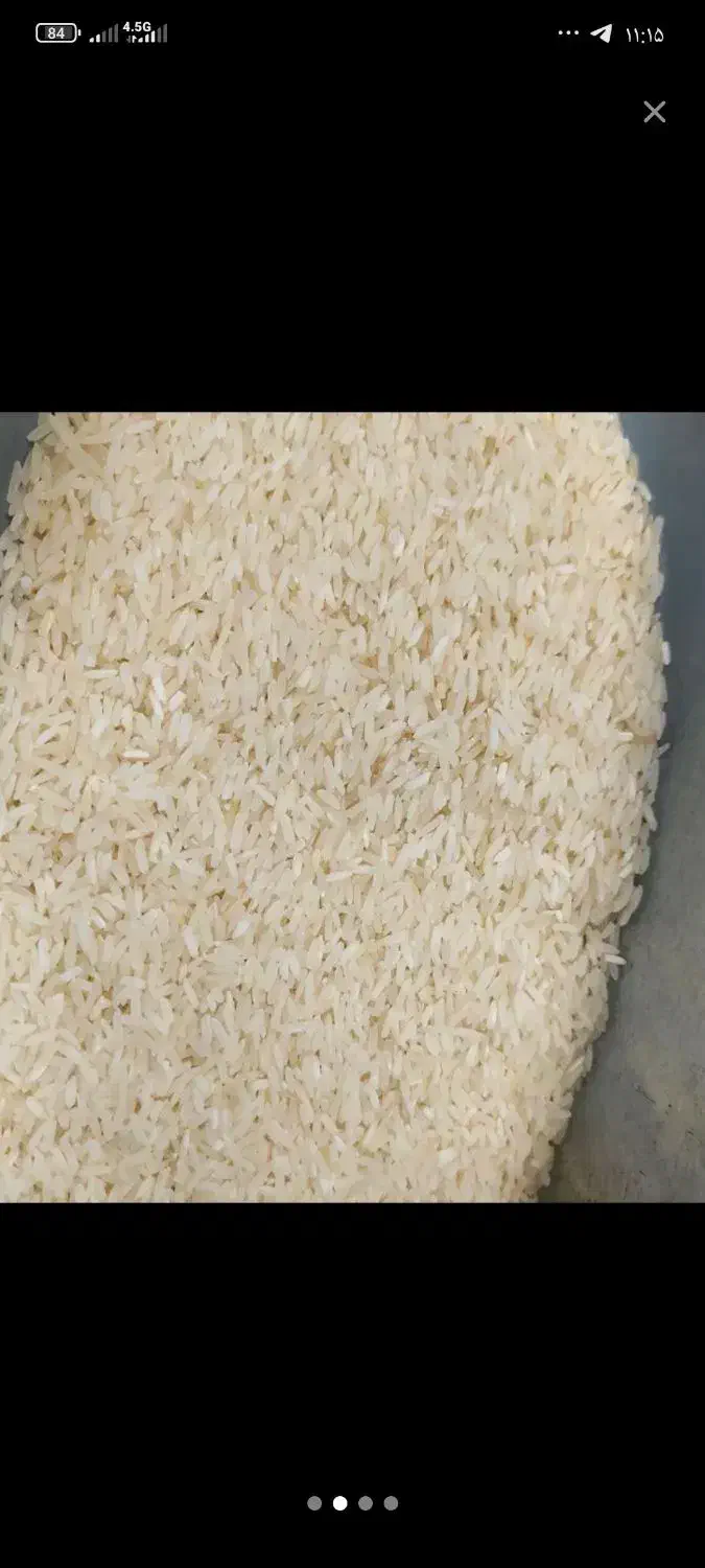 برنج هومالی عمده و جزئی|خوردنی و آشامیدنی|الیگودرز, |دیوار