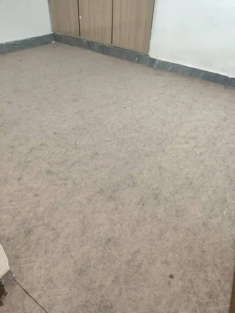 موکت|موکت|دوگنبدان, |دیوار