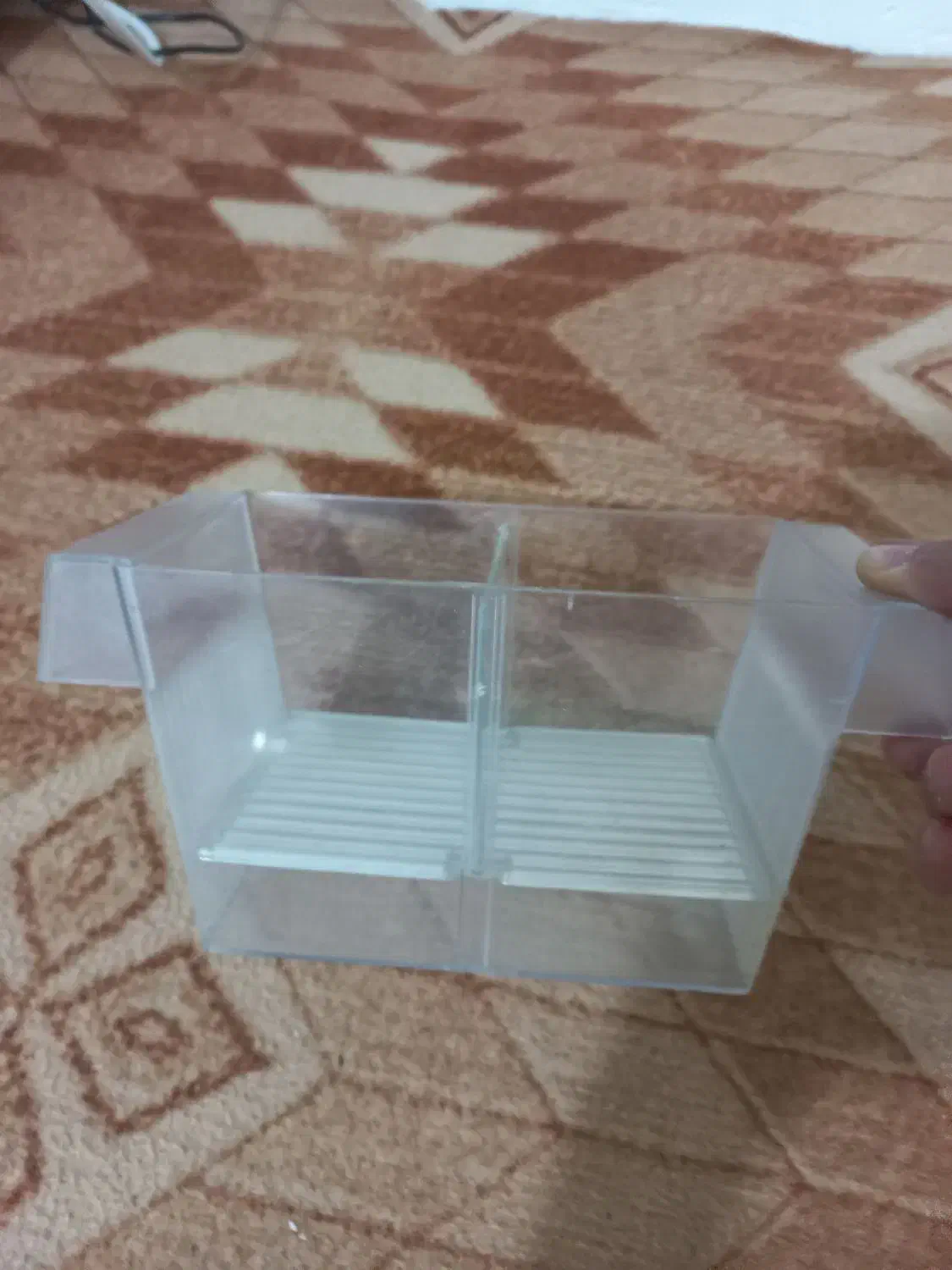 وسایل ماهی آکواریومی|ماهی|گرمدره, |دیوار