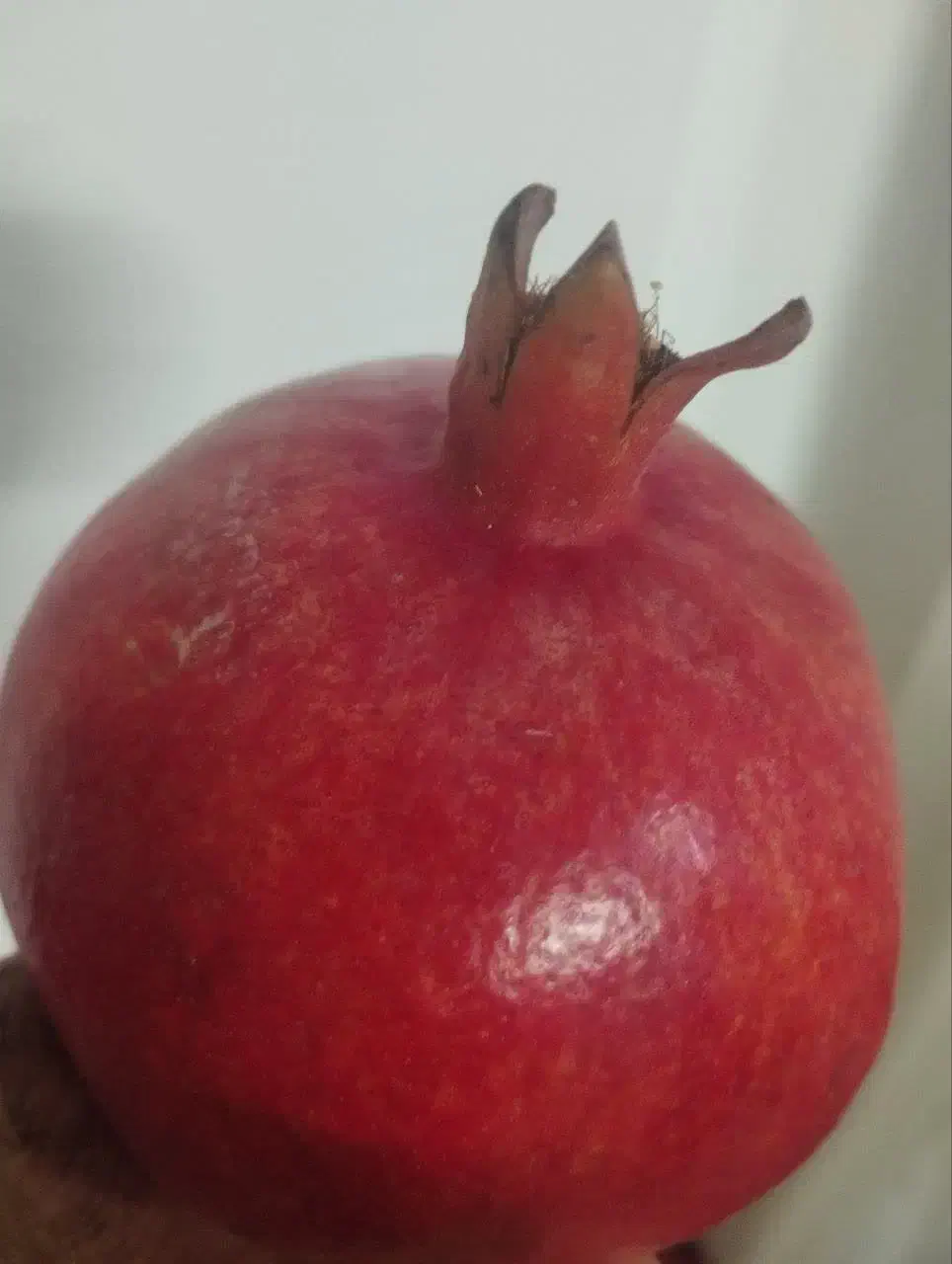 انار ممتاز  ارسال به همه جای شهر قم وشهرهای اطراف|خوردنی و آشامیدنی|کهک, |دیوار