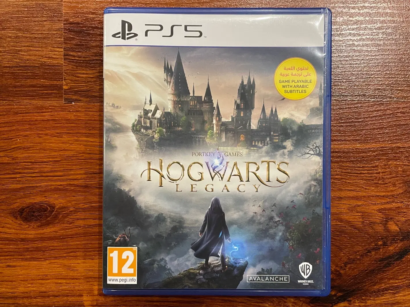 هاگوارتز (Hogwarts Legacy) - PS5|کنسول، بازی ویدئویی و آنلاین|رشت, کاکتوس|دیوار