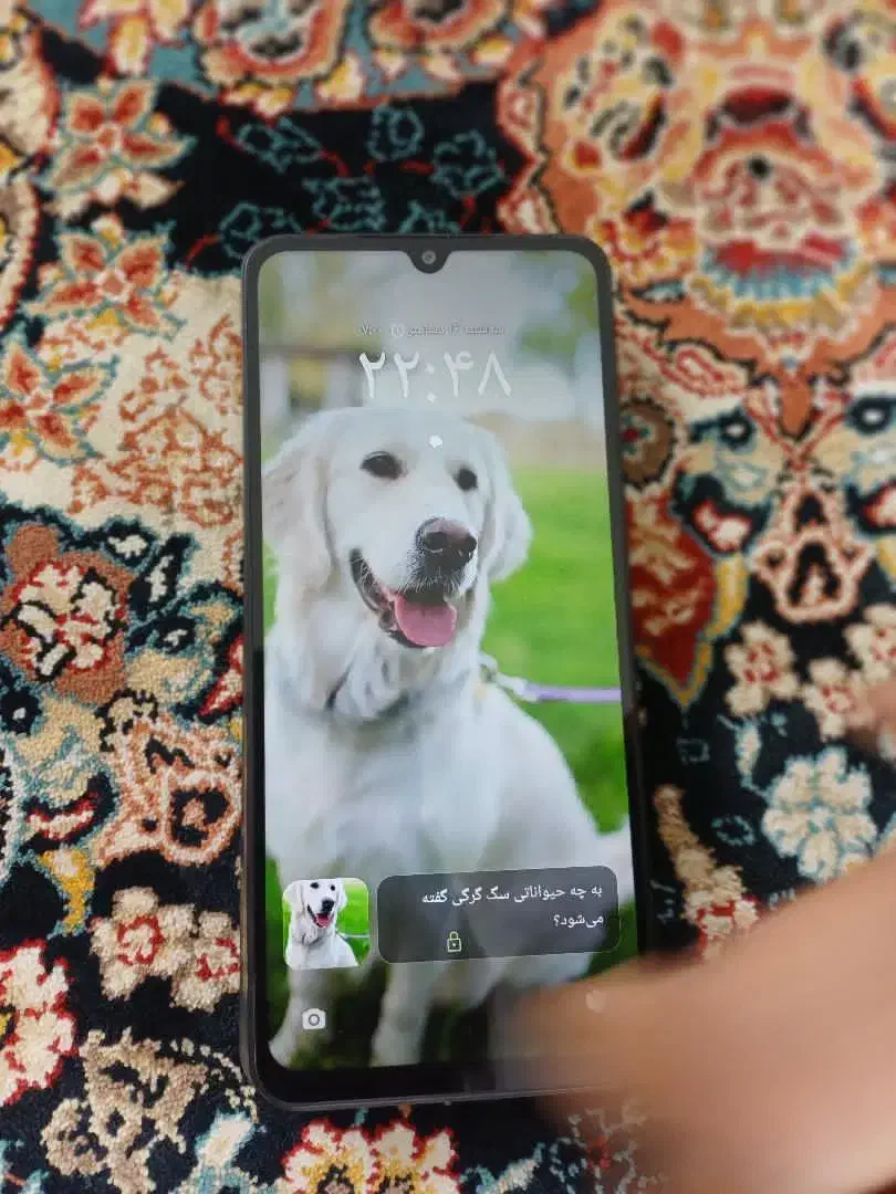 poco|موبایل|نیشابور, سرآب کوشک|دیوار