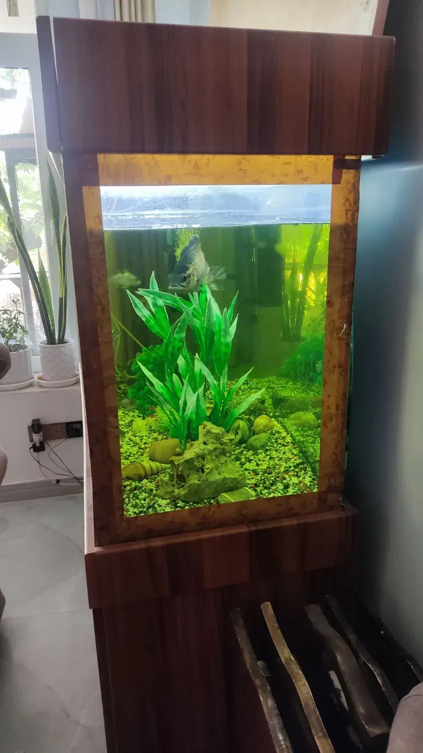 آکواریوم همراه کلبه وماهی ومطعلقات|ماهی|ضیاء آباد, |دیوار