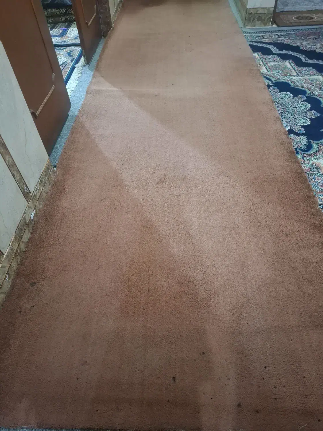 پلاز موکت قهوه ای|موکت|آبادان, |دیوار