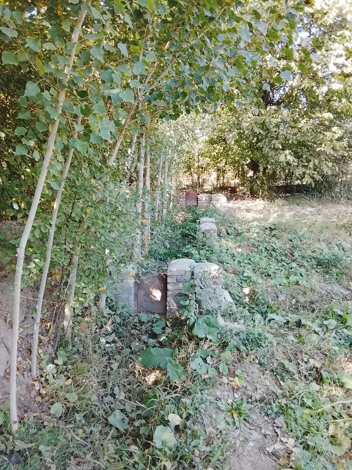 باغ فروشی|فروش دفتر صنعتی، کشاورزی، تجاری|فیرورق, |دیوار