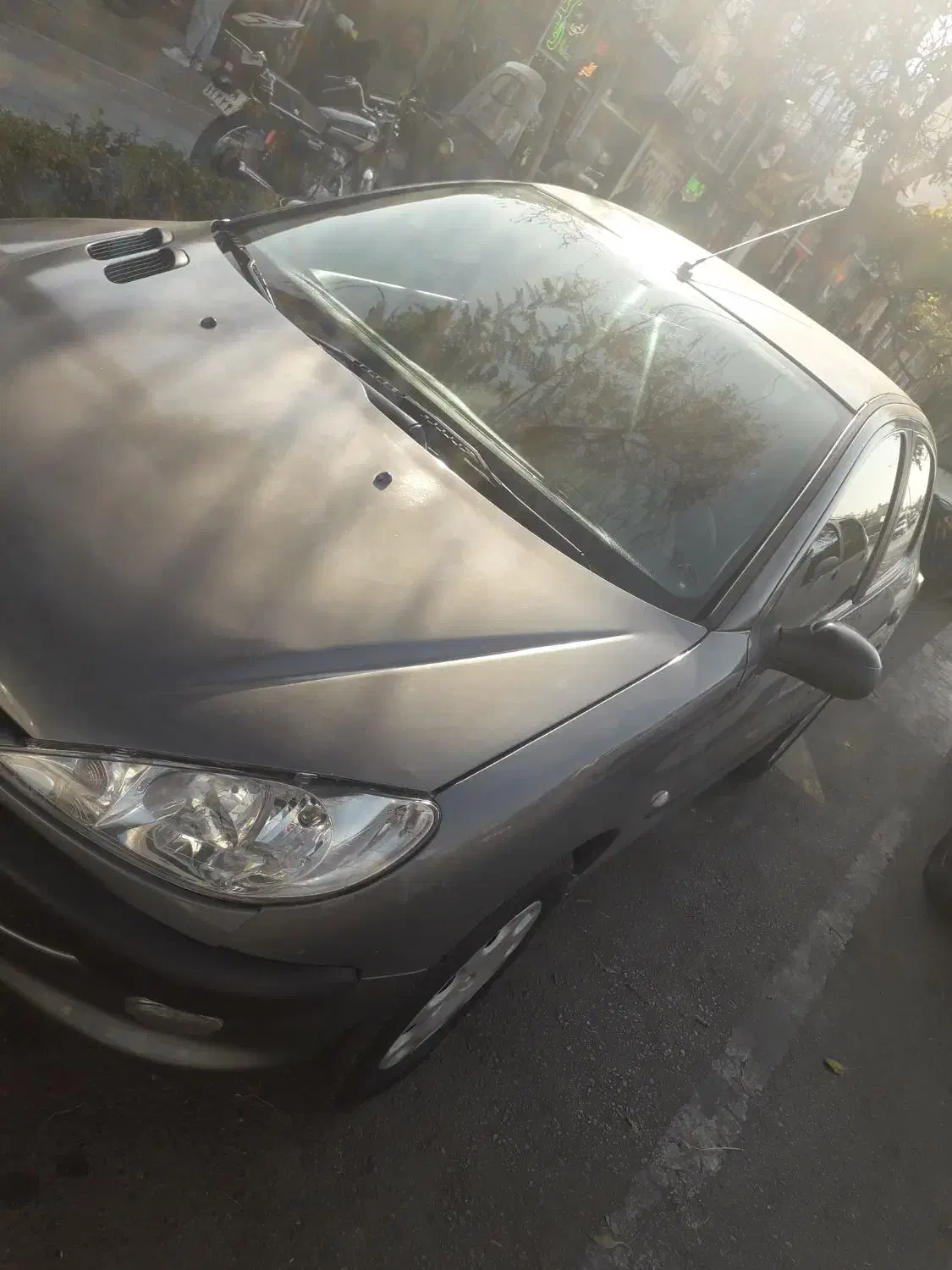 ۲۰۶ مدل ۸۹ تمیز در حد|خودرو سواری و وانت|مشهد, ایثار|دیوار