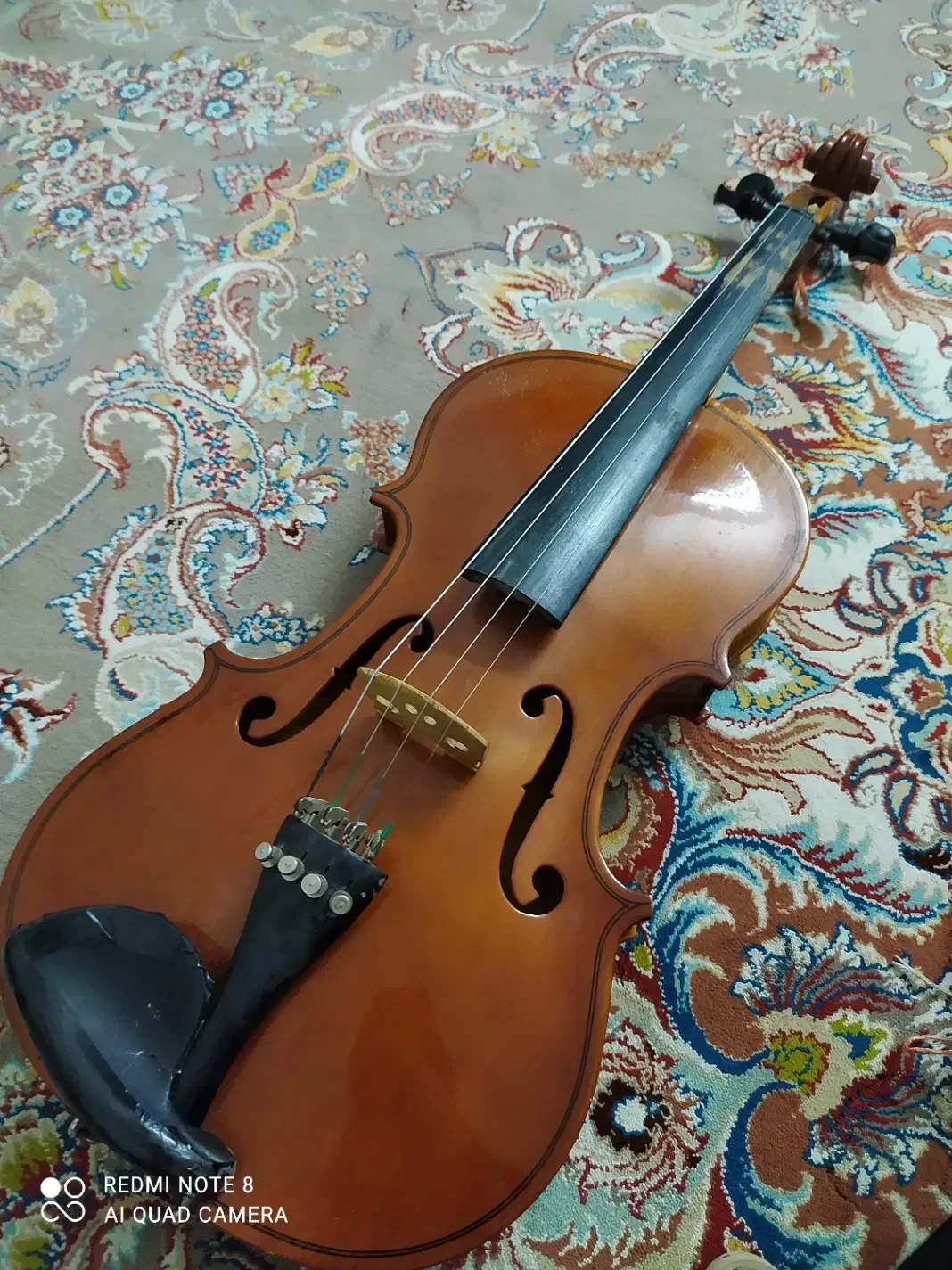 ویالن اصل hofnar|ویولن|کازرون, |دیوار