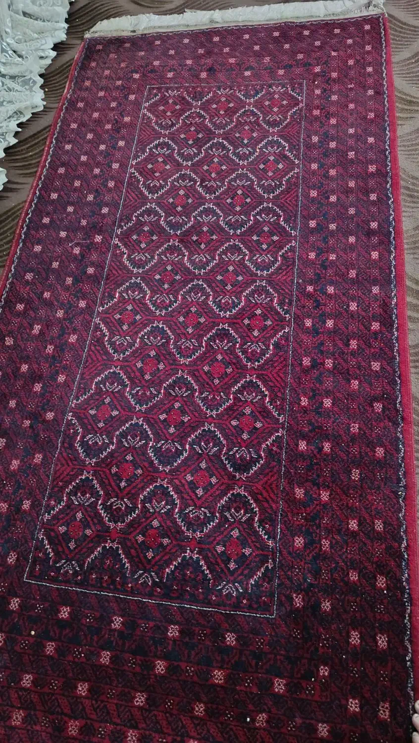 قالیچه دستباف پشمی|فرش|مشهد, شهید قربانی|دیوار