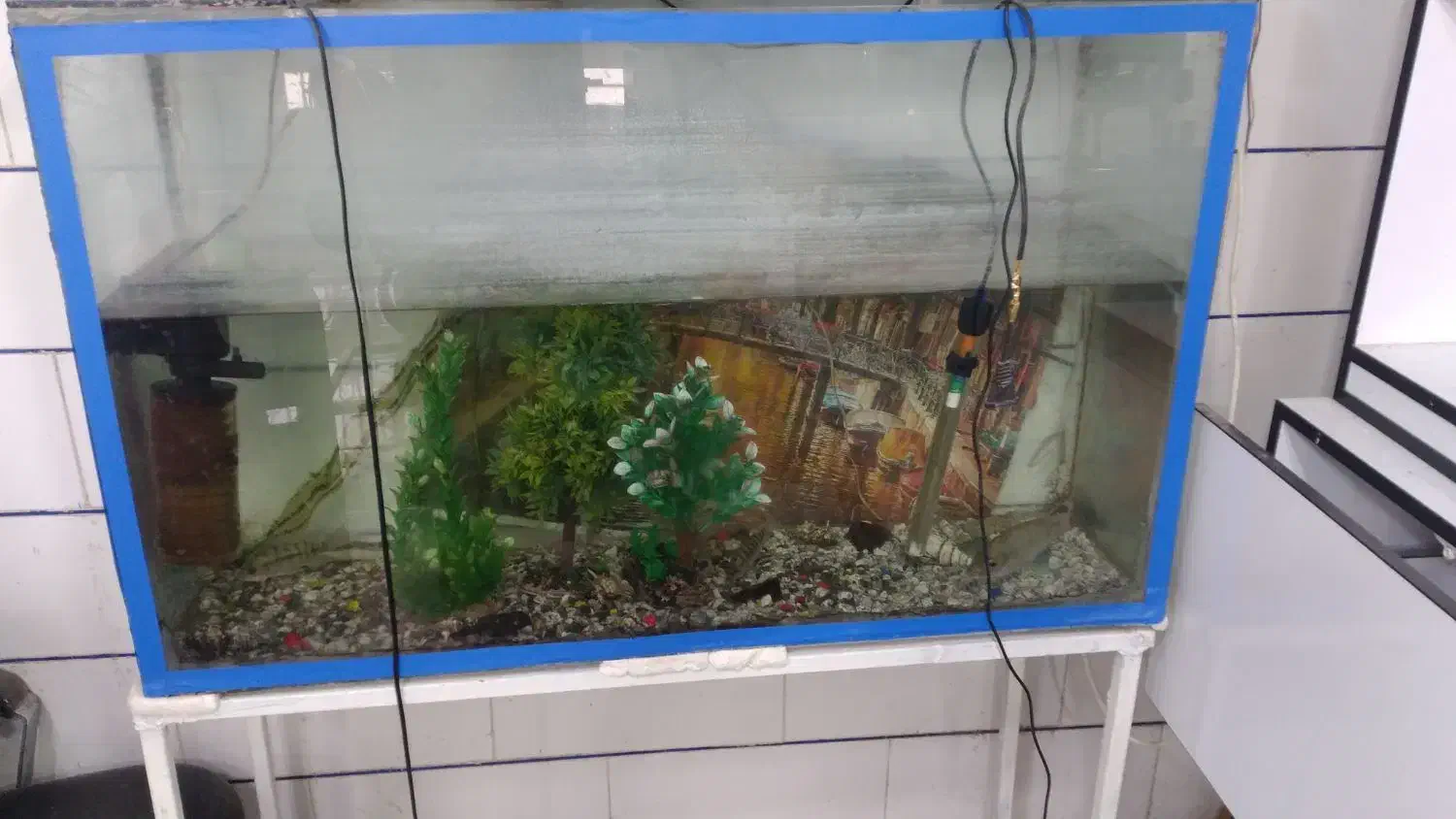 ا یک عدد اکوریوم با تمام وسایل|ماهی|جیرفت, |دیوار