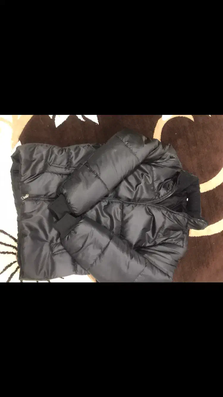 کاپشن پوفی نو نو|لباس|مراغه, |دیوار