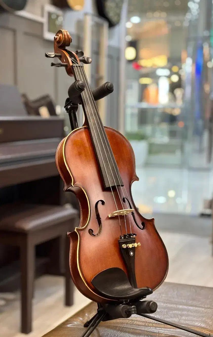 ویولن اشتاینر|ویولن|شیراز, معالیآباد|دیوار