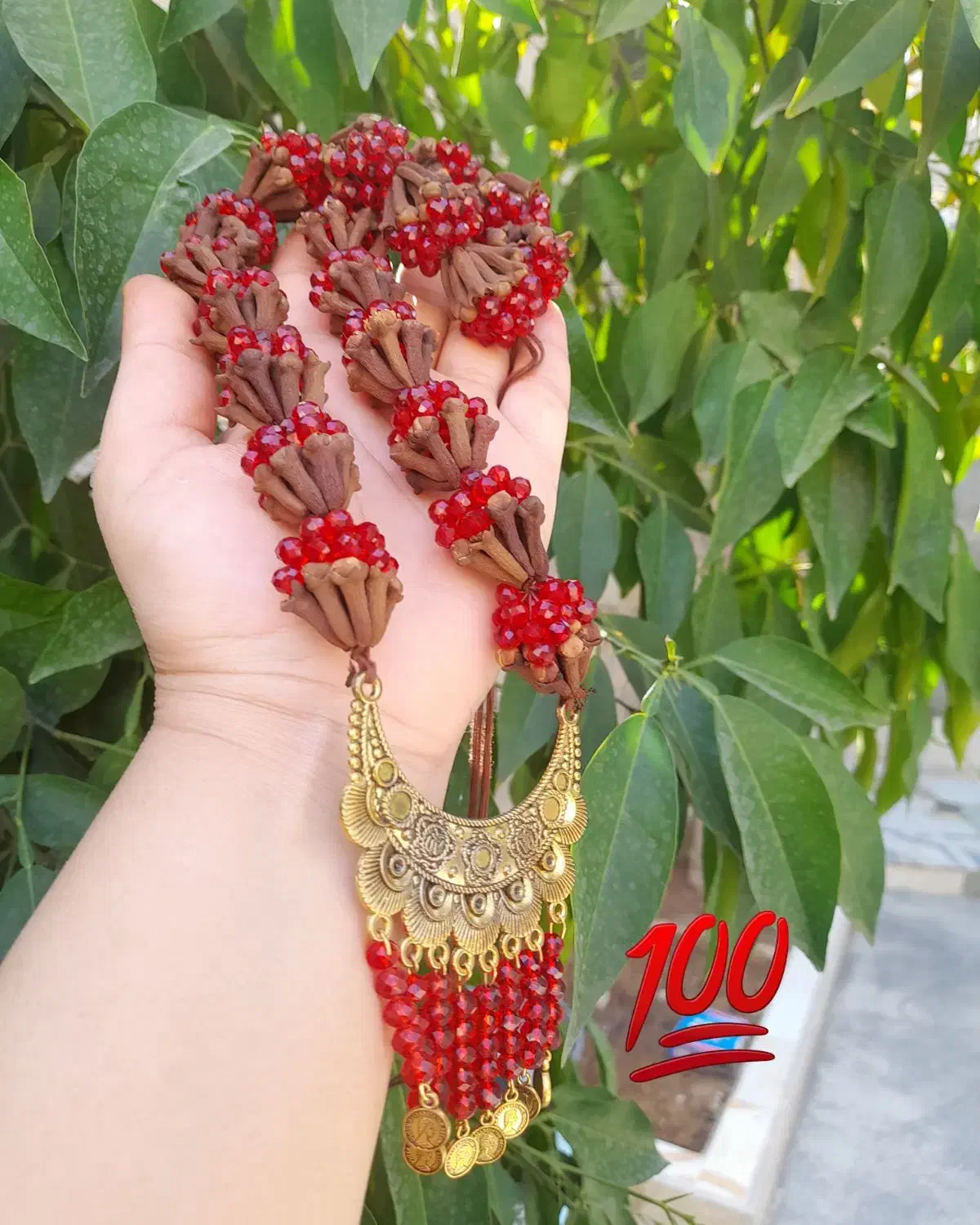 میخک خوش عطر وجاودانه|بدلیجات|لردگان, |دیوار