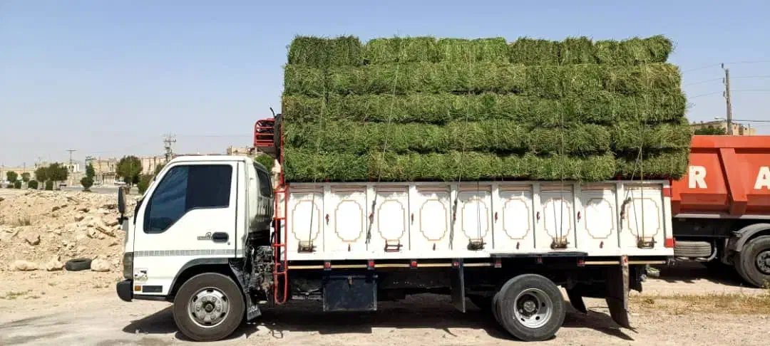 علوفه انباری|عمده‌فروشی|اصفهان, هزارجریب|دیوار