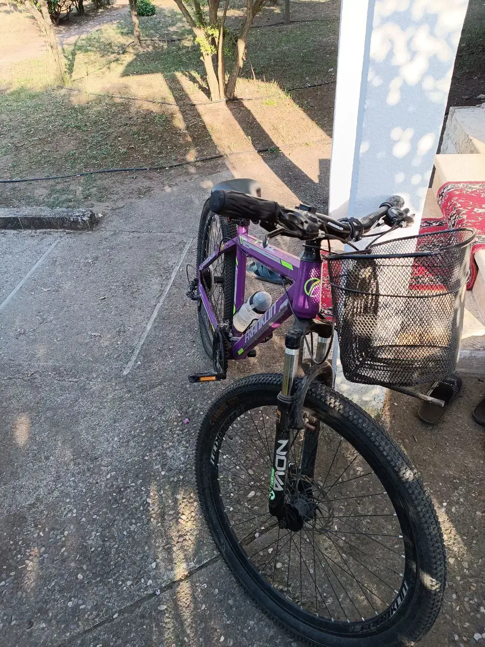 دوچرخه|دوچرخه، اسکیت، اسکوتر|چاف و چمخاله, |دیوار