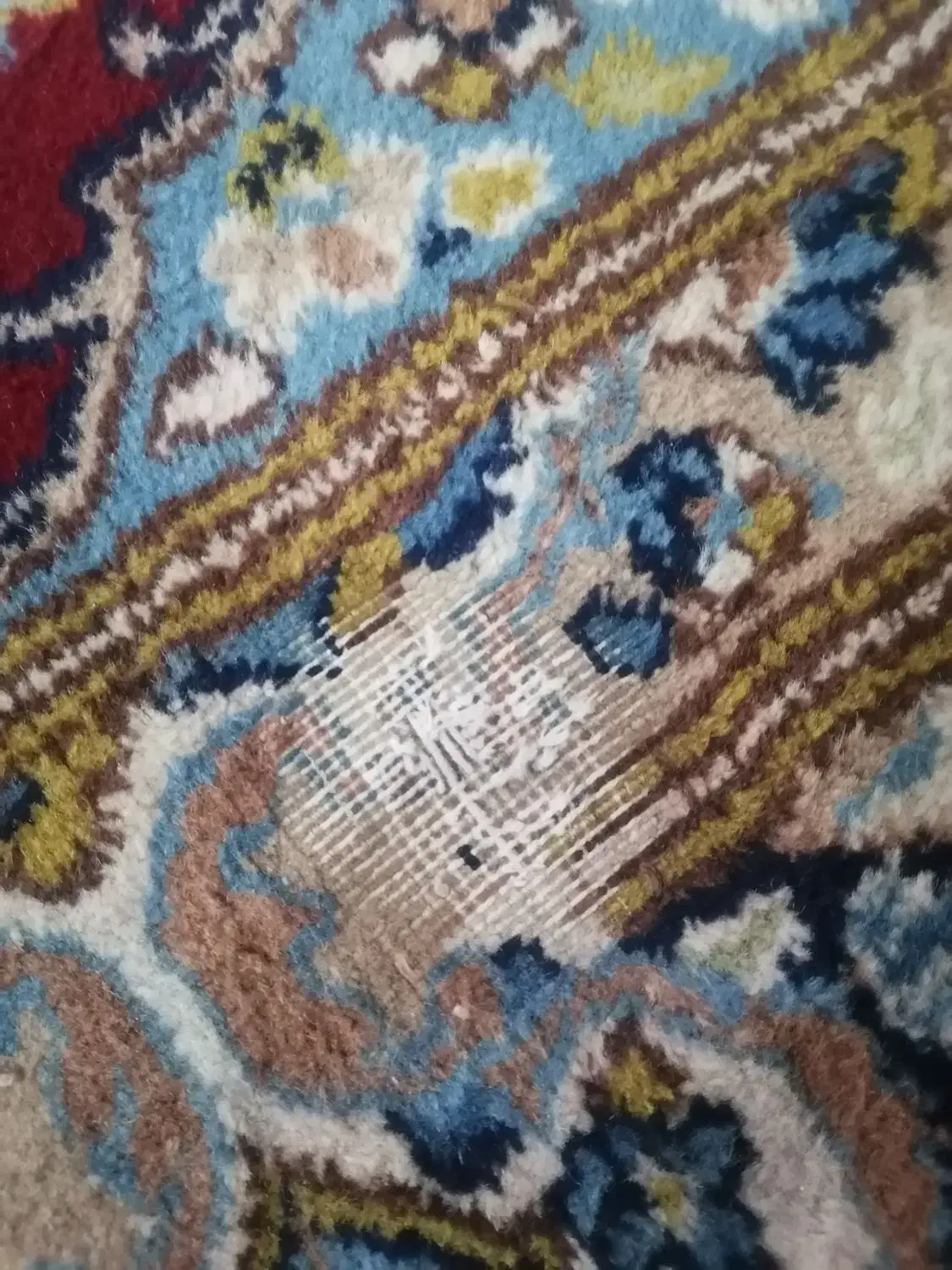 قالی کرمانی|فرش|رفسنجان, |دیوار