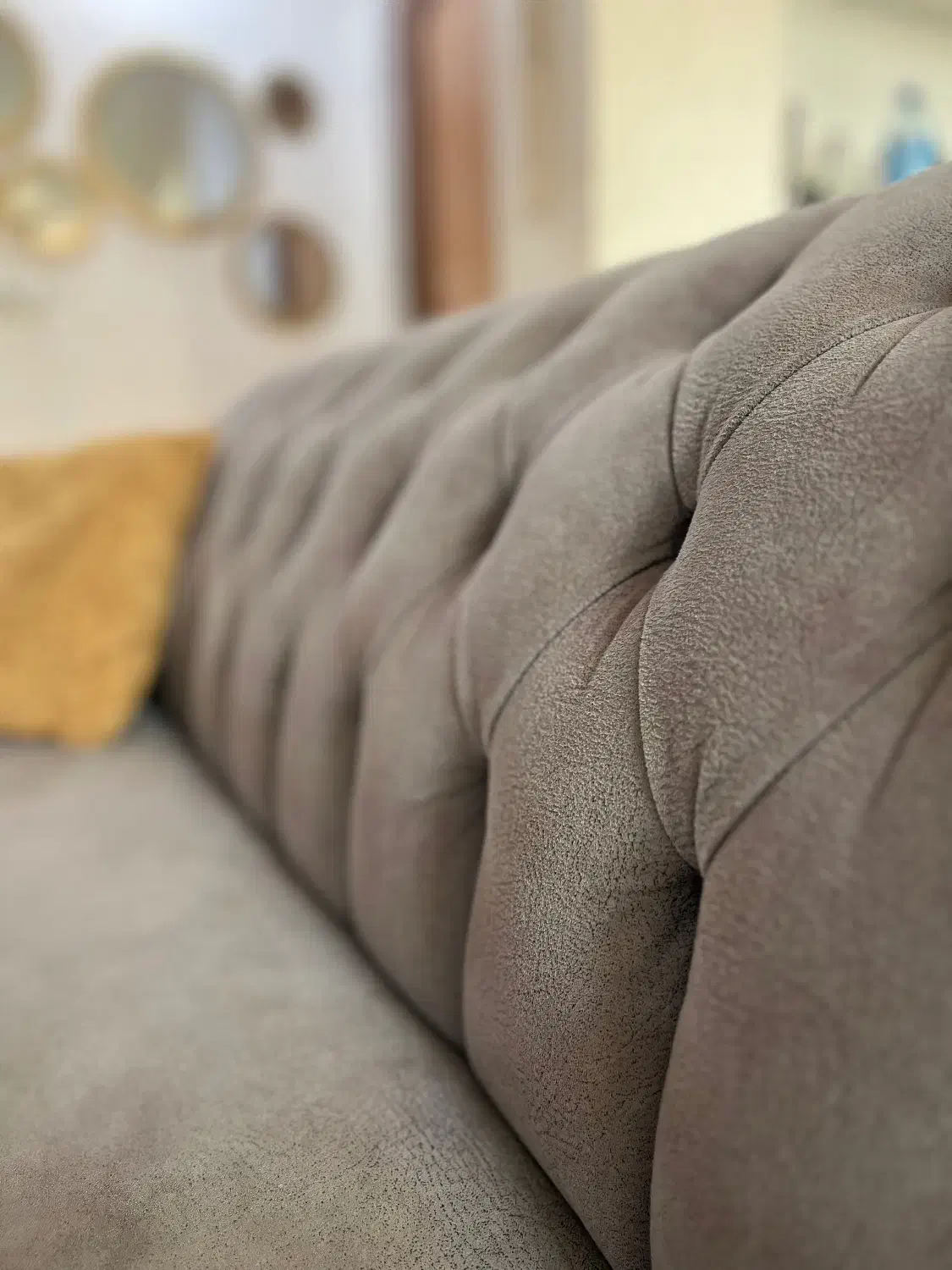 مبل راحتی چستر در حد نو|مبلمان خانگی و میز عسلی|رشت, کاکتوس|دیوار