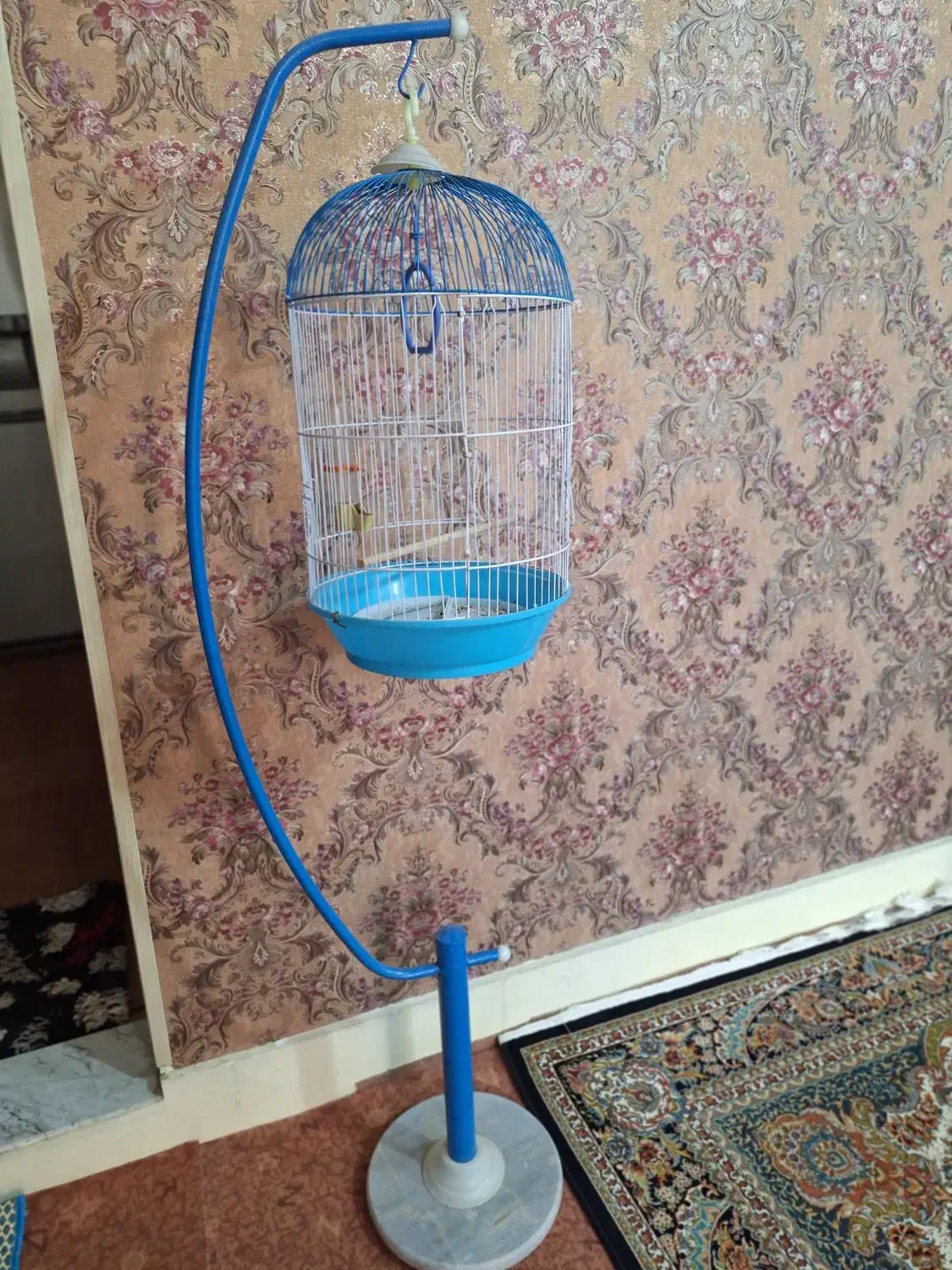 قفس پرنده با پایه ۶۲۰|لوازم جانبی حیوانات|قم, نخودی|دیوار
