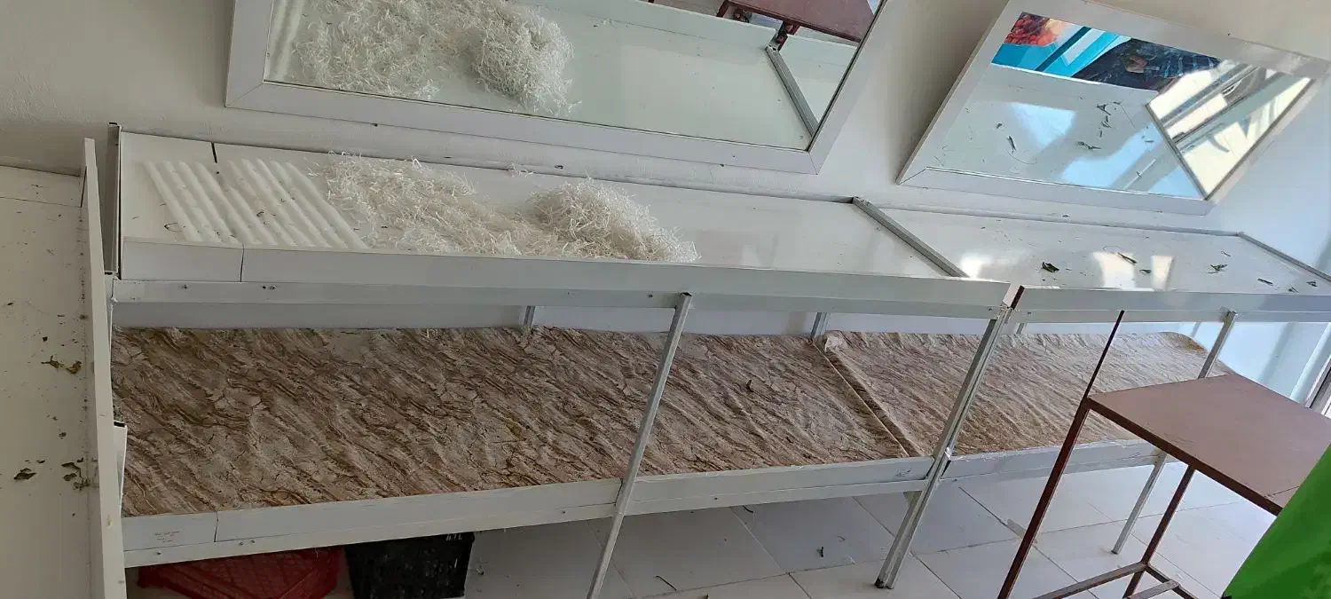 وسایل میوه فروشی|فروشگاه و مغازه|خمیر, |دیوار