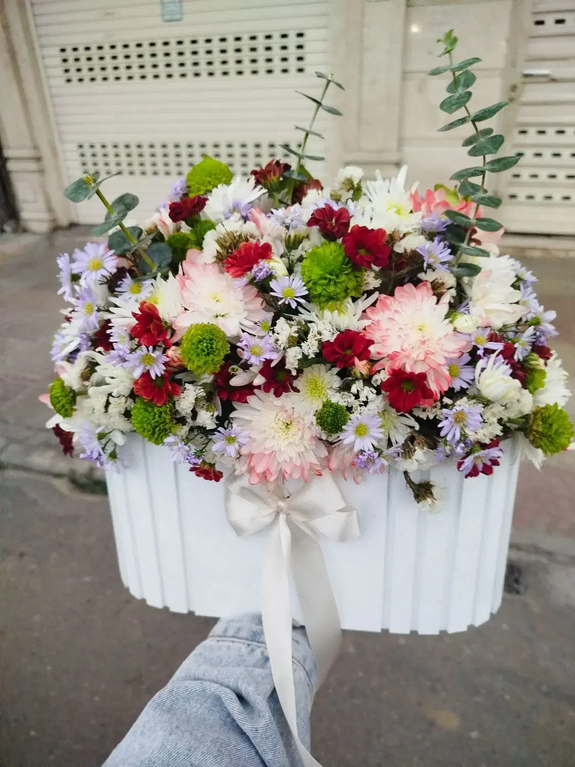 گلکده لنالند|گل و گیاه طبیعی|قائمشهر, |دیوار