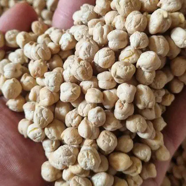 پخش عمده انواع نخود ایرانی|خوردنی و آشامیدنی|شهریار, شهرک شاهد|دیوار