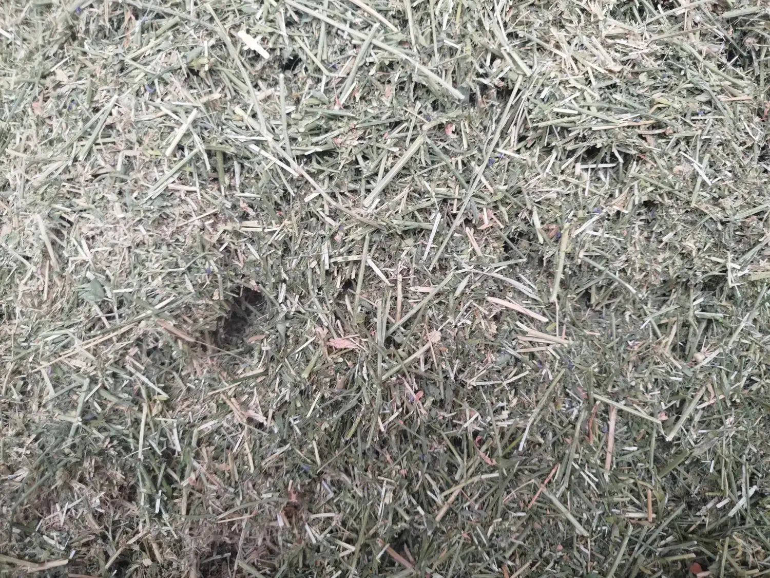 یونجه|خدمات باغبانی و درختکاری|دیواندره, |دیوار